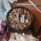 Kitsune Statue Pearl Enamel Pins